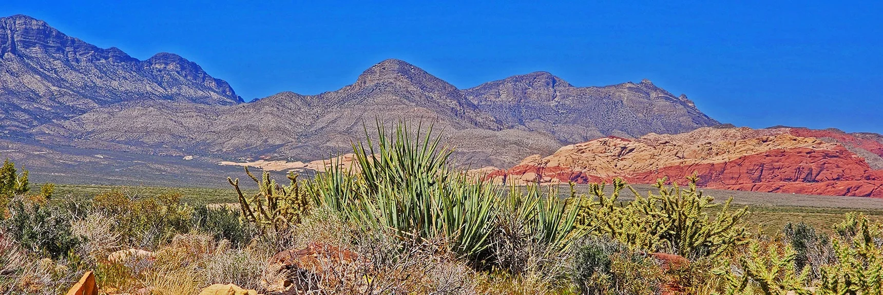 Turtlehead & Damsel Peaks on East Side of Red Rock Canyon. | Juniper Canyon | Red Rock Canyon National Conservation Area, Nevada | David Smith | LasVegasAreaTrails.com