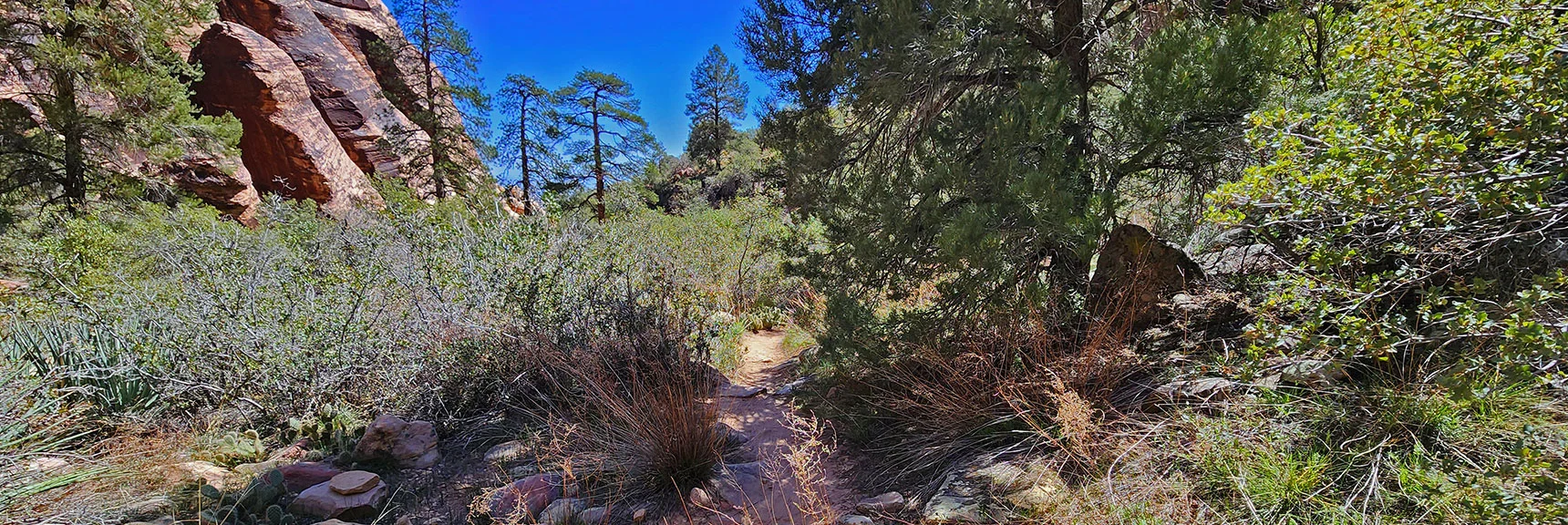 Descend Again Into Canyon to Land on a Really Nice, But Brief, Trail. | Juniper Canyon | Red Rock Canyon National Conservation Area, Nevada | David Smith | LasVegasAreaTrails.com