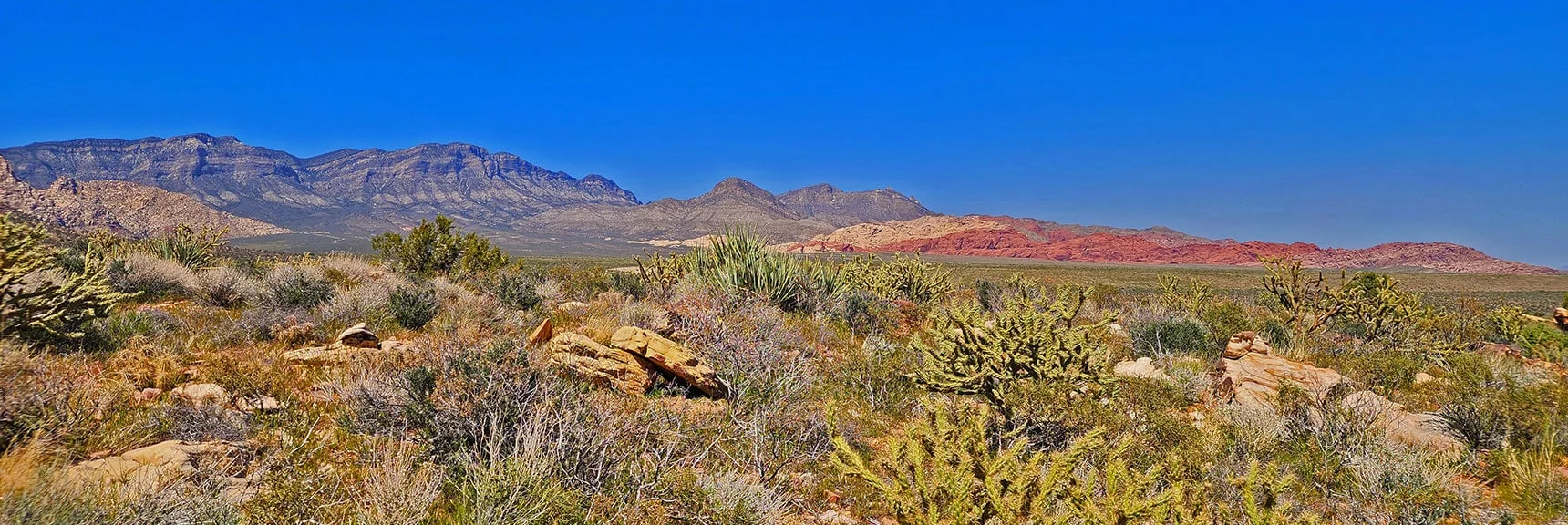 Descend on Unmarked Canyon Trail to Arnight Trail, Then Turn Right (South) | Juniper Canyon | Red Rock Canyon National Conservation Area, Nevada | David Smith | LasVegasAreaTrails.com