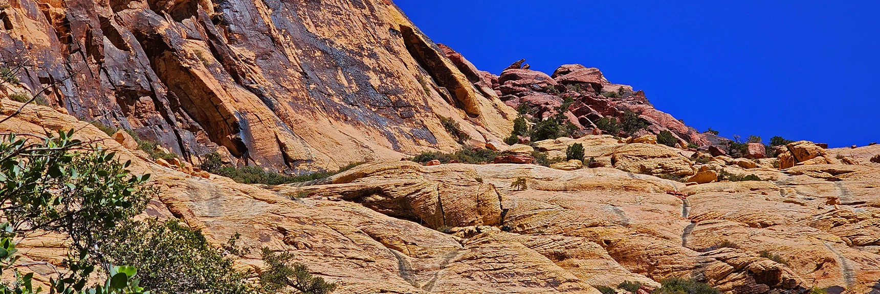 The Route is Basically Upward Along Red Cliff Edge | Juniper Canyon | Red Rock Canyon National Conservation Area, Nevada | David Smith | LasVegasAreaTrails.com