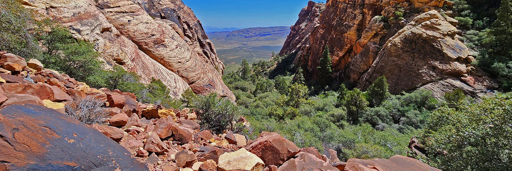 View Down Juniper Canyon from Canyon Summit | Juniper Canyon | Red Rock Canyon National Conservation Area, Nevada | David Smith | LasVegasAreaTrails.com