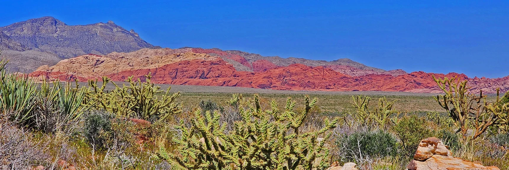 Calico Hills on East Side of Red Rock Canyon. | Juniper Canyon | Red Rock Canyon National Conservation Area, Nevada | David Smith | LasVegasAreaTrails.com