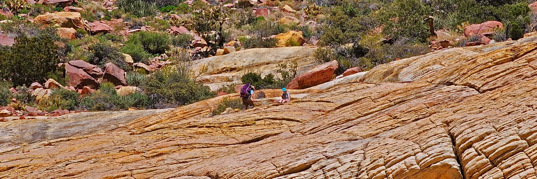 The Challenge Here is To Top Sandstone Ridge Above Boulders. | Juniper Canyon | Red Rock Canyon National Conservation Area, Nevada | David Smith | LasVegasAreaTrails.com