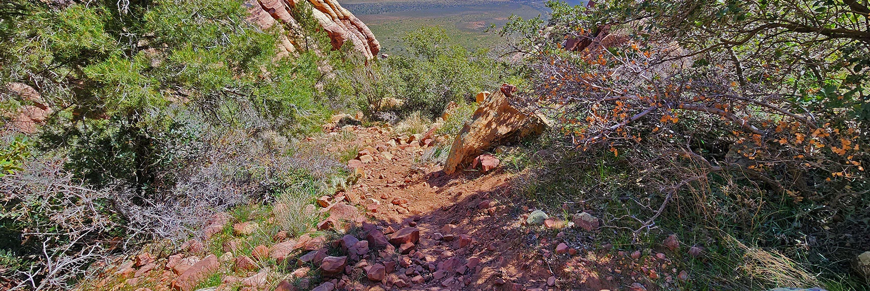 View Back Down the Red Rock Ridge Trail. | Juniper Canyon | Red Rock Canyon National Conservation Area, Nevada | David Smith | LasVegasAreaTrails.com