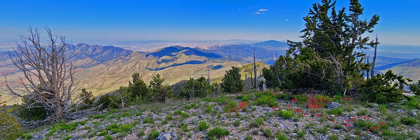 View Toward Escarpment Trail Across Kyle Canyon Road | Eagles Nest Loop | Mt Charleston Wilderness | Spring Mountains, Nevada