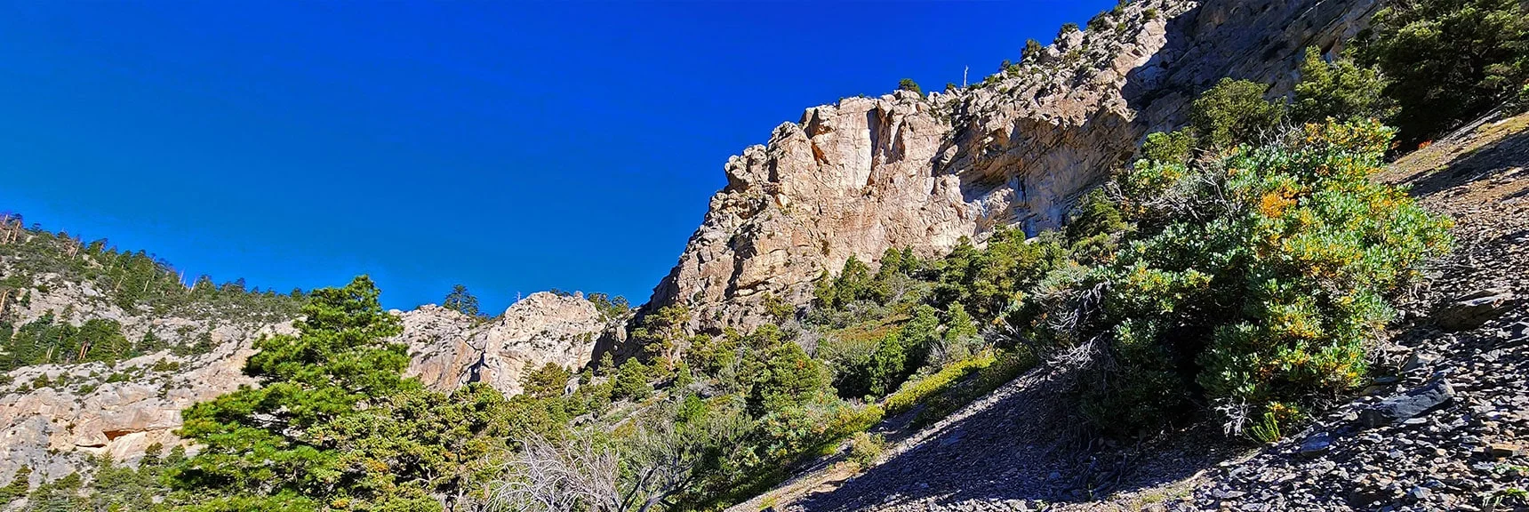 View Toward Escarpment Trail Across Kyle Canyon Road | Eagles Nest Loop | Mt Charleston Wilderness | Spring Mountains, Nevada
