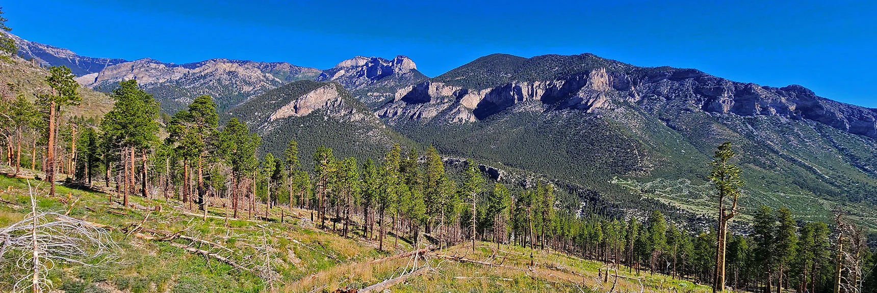 View Toward Escarpment Trail Across Kyle Canyon Road | Eagles Nest Loop | Mt Charleston Wilderness | Spring Mountains, Nevada