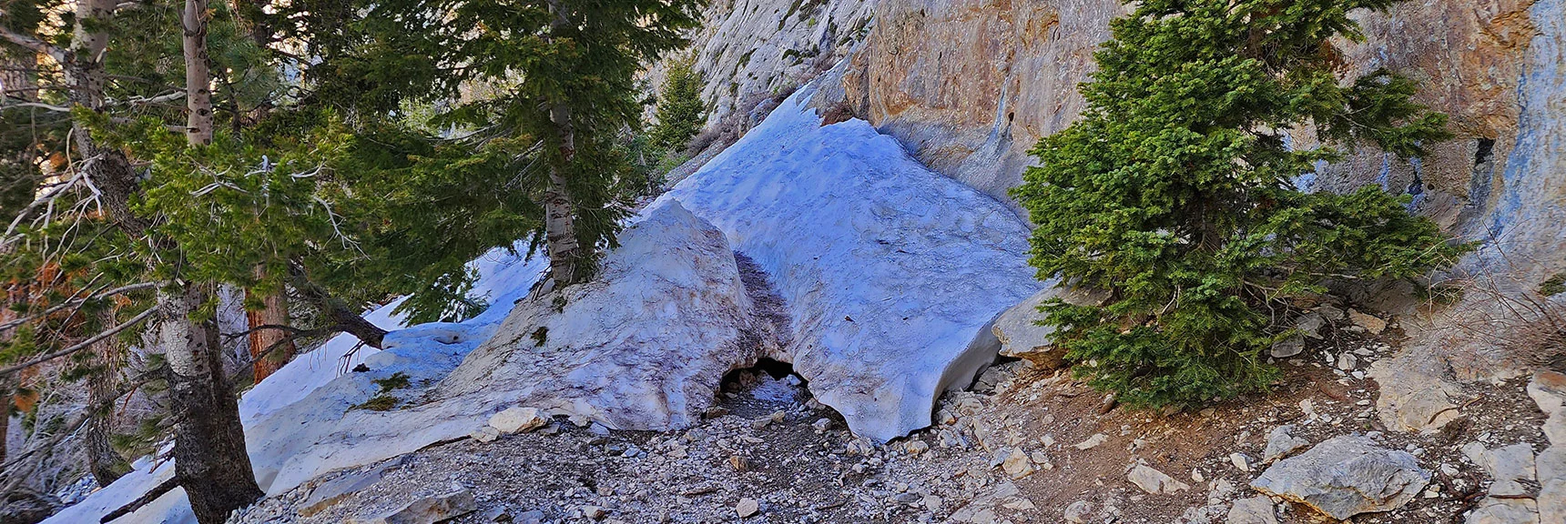 Snowdrifts Remain on Trail This Early May Day | Mary Jane Falls | Mt. Charleston Wilderness | Spring Mountains, Nevada