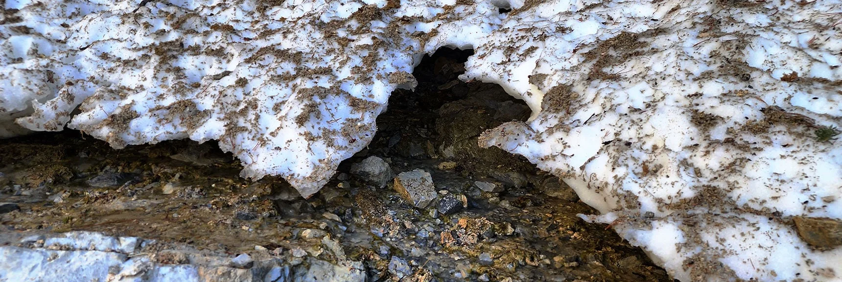 Birth of a Mountain Spring Emerging from Beneath the Snow | Mary Jane Falls | Mt. Charleston Wilderness | Spring Mountains, Nevada