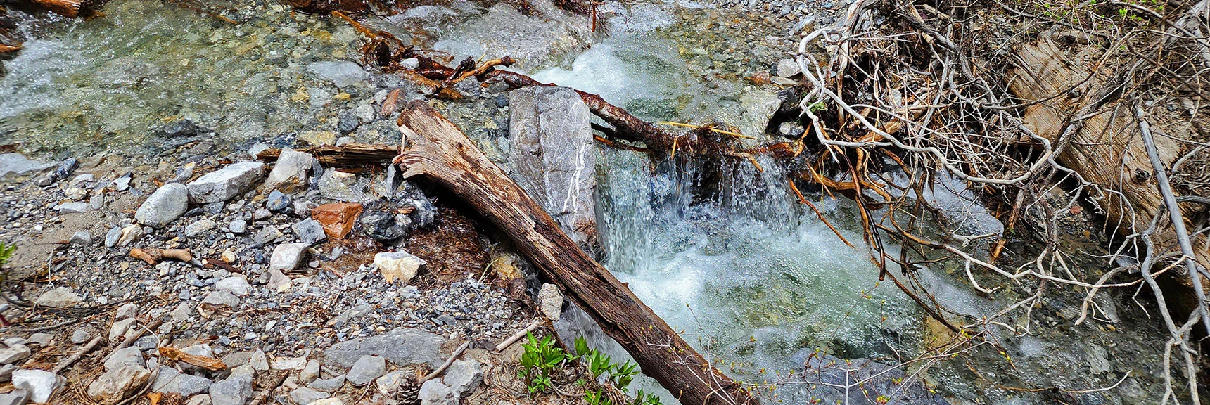 Angle of Incline Gradually Increases as Does the Creek's Speed and Energy | Fletcher Canyon Trail | Mt Charleston Wilderness | Spring Mountains, Nevada