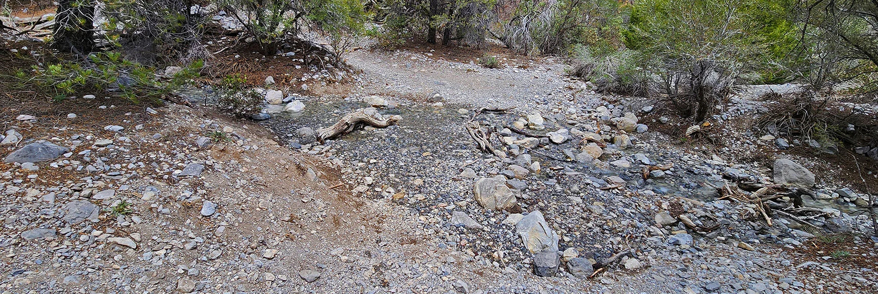 Many Creek Crossings Today. All Shallow. Can Maintain Dry Shoes. | Fletcher Canyon Trail | Mt Charleston Wilderness | Spring Mountains, Nevada