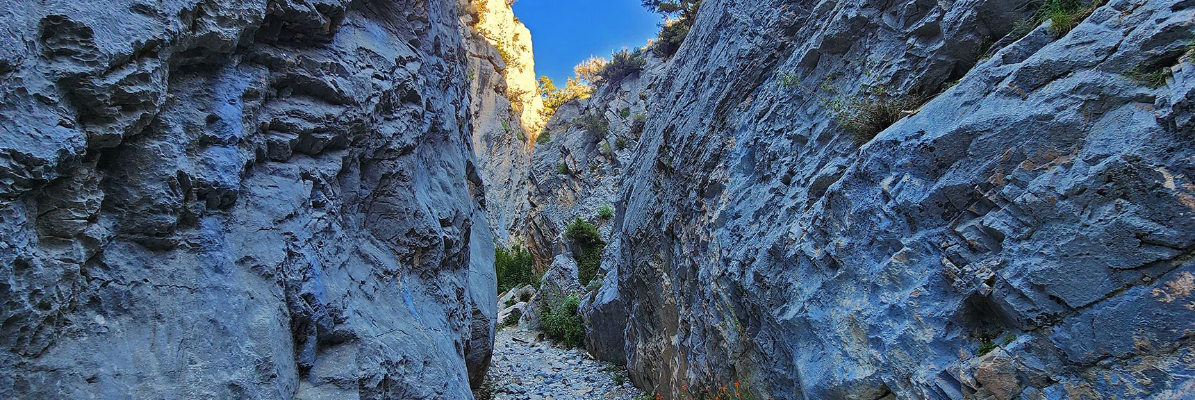 View Up the Winding Canyon | Fletcher Canyon / Fletcher Peak / Cockscomb Ridge Circuit | Mt. Charleston Wilderness | Spring Mountains, Nevada