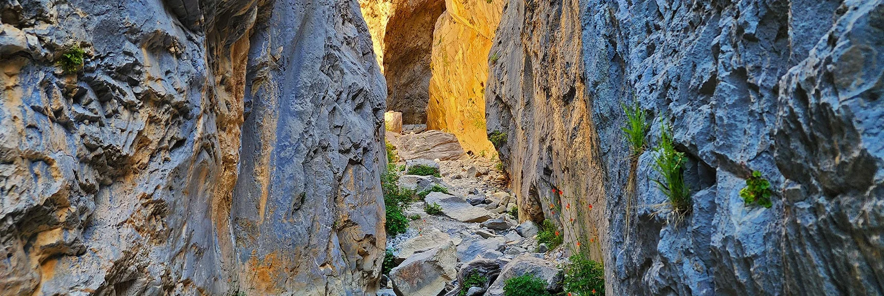 Filtered Sunlight from Above Paints Canyon Walls | Fletcher Canyon / Fletcher Peak / Cockscomb Ridge Circuit | Mt. Charleston Wilderness | Spring Mountains, Nevada