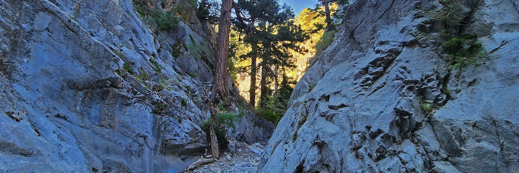 Canyon Begins to Wind, Beautiful Views at Every Turn | Fletcher Canyon / Fletcher Peak / Cockscomb Ridge Circuit | Mt. Charleston Wilderness | Spring Mountains, Nevada