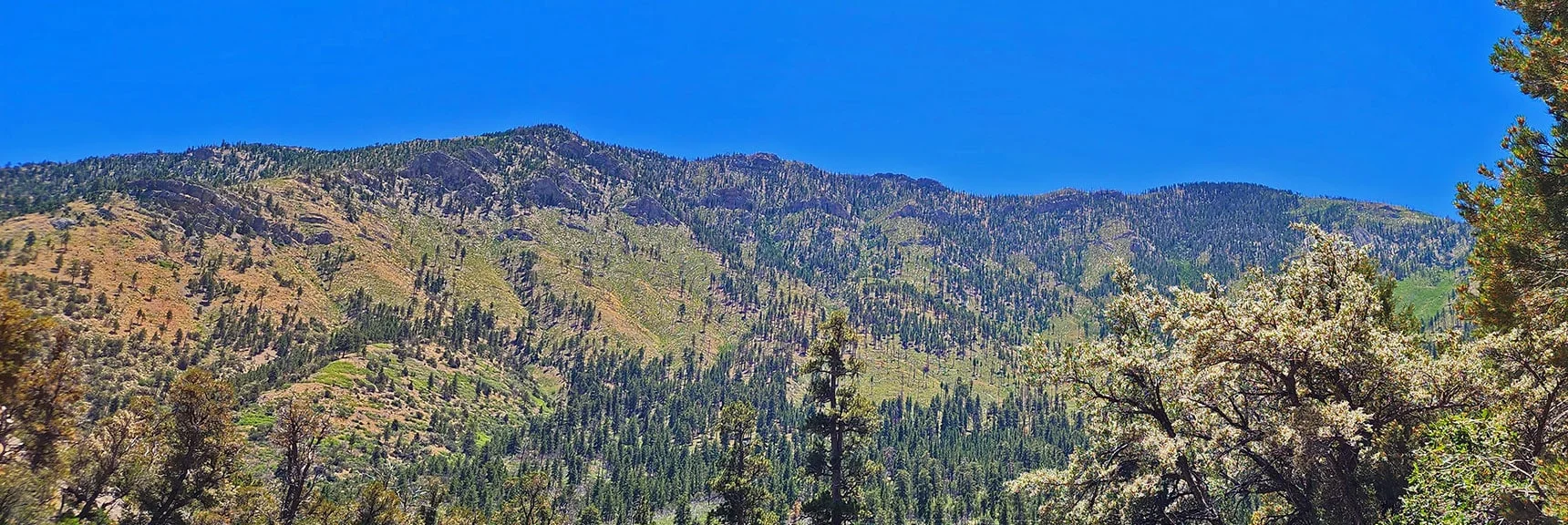 Upper Eastern Approach Ridge to Harris Mountain Summit (right) | Fletcher Canyon / Fletcher Peak / Cockscomb Ridge Circuit | Mt. Charleston Wilderness | Spring Mountains, Nevada