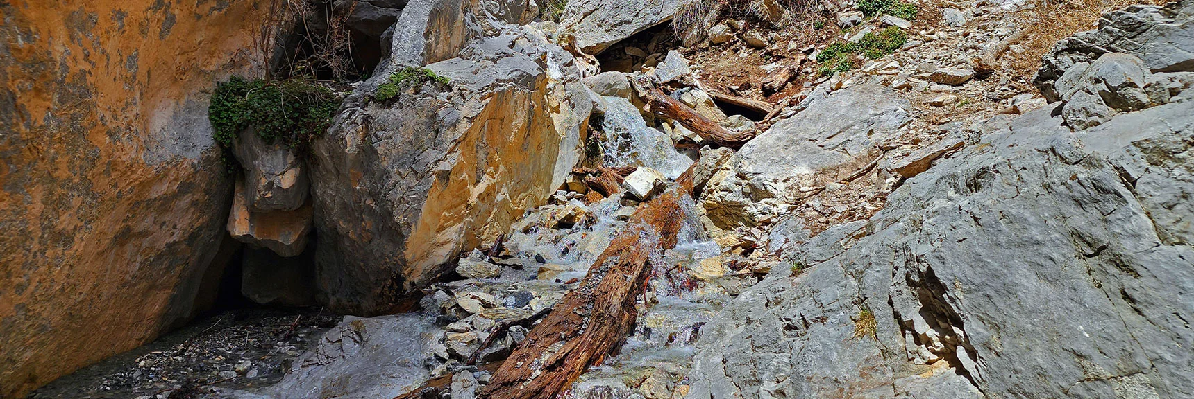 This is About Where the Adventure Turns from a Trail to a Climb | Fletcher Canyon Trail | Mt Charleston Wilderness | Spring Mountains, Nevada
