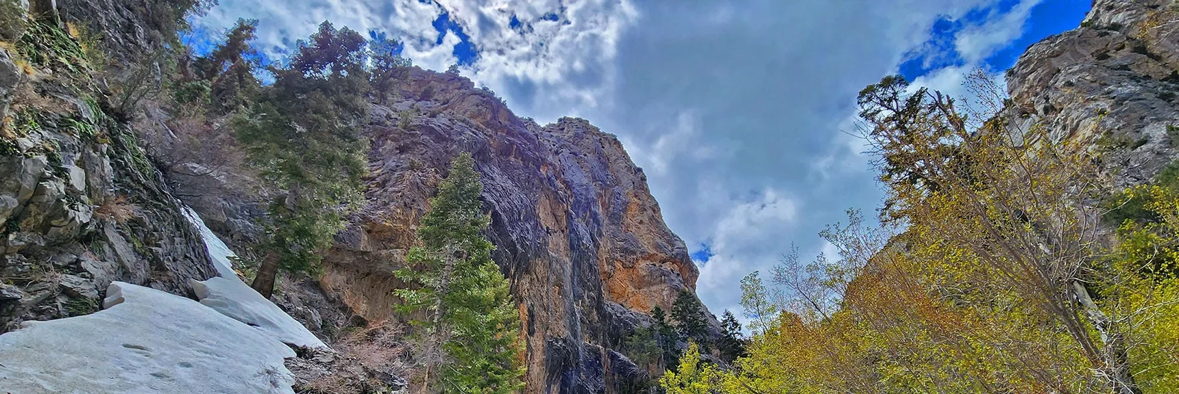 View Up Fletcher Canyon Approaching Canyon Divide | Fletcher Canyon Trail | Mt Charleston Wilderness | Spring Mountains, Nevada