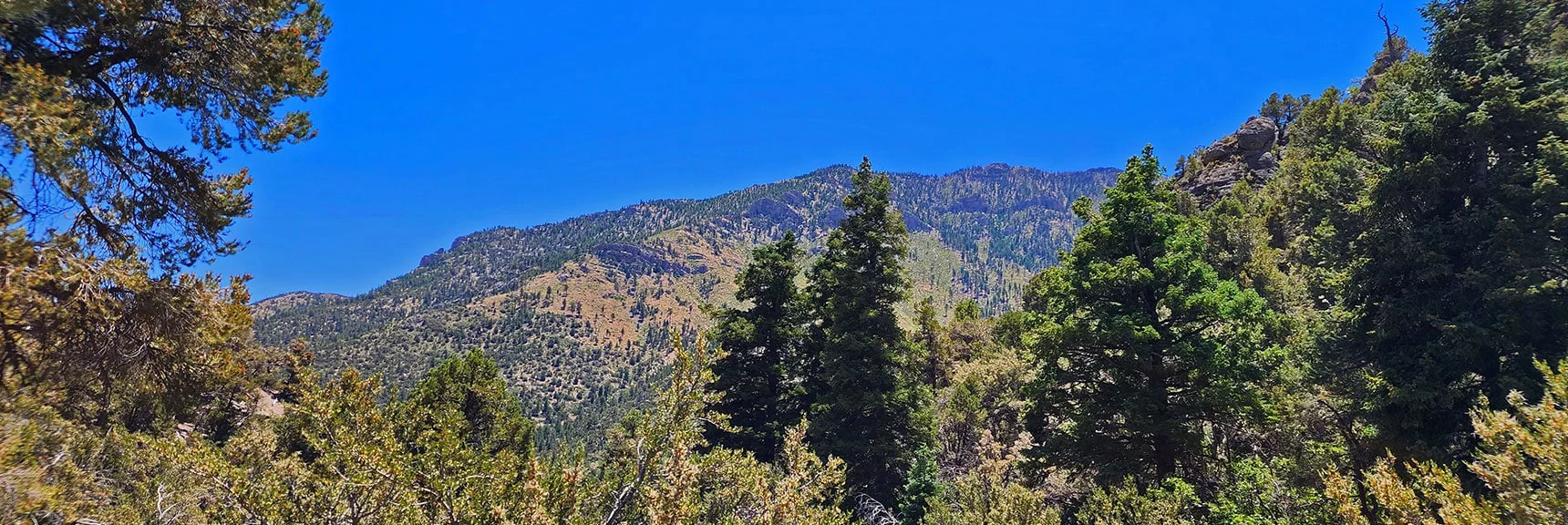Eastern Approach Ridge to Harris Mountain Begins at Lower End of Kyle Canyon Picnic Area.. | Fletcher Canyon / Fletcher Peak / Cockscomb Ridge Circuit | Mt. Charleston Wilderness | Spring Mountains, Nevada