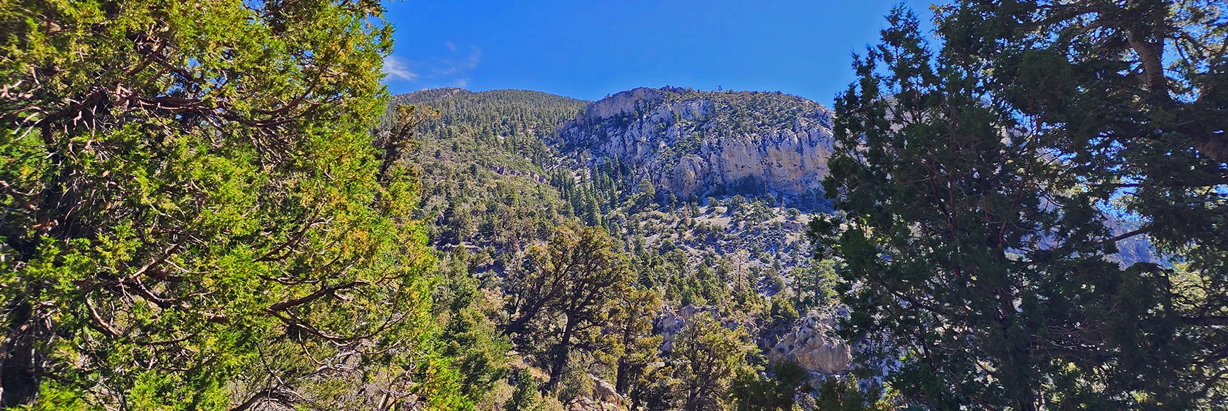 Fletcher Peak Rests Above Line of Cliffs. | Fletcher Canyon / Fletcher Peak / Cockscomb Ridge Circuit | Mt. Charleston Wilderness | Spring Mountains, Nevada
