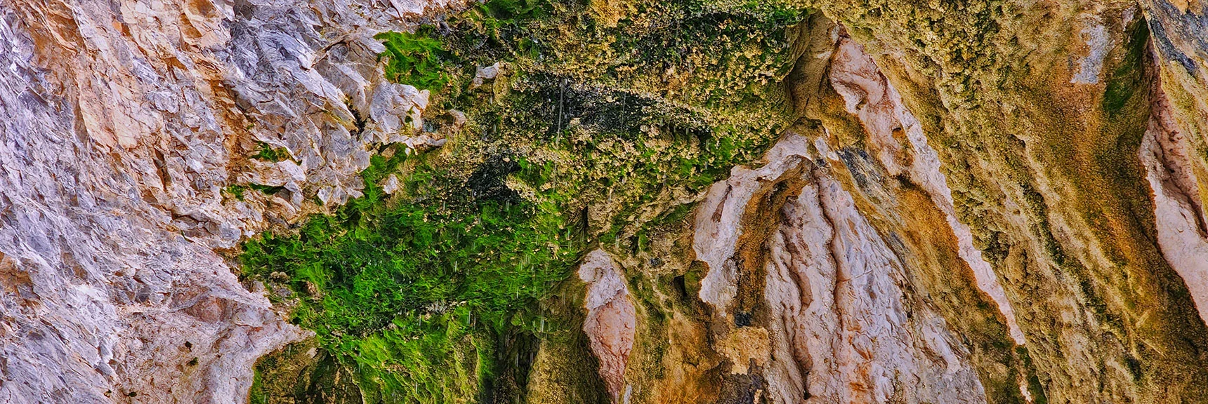 Dripping Through the Moss-Covered Limestone Roof | Fletcher Canyon Trail | Mt Charleston Wilderness | Spring Mountains, Nevada