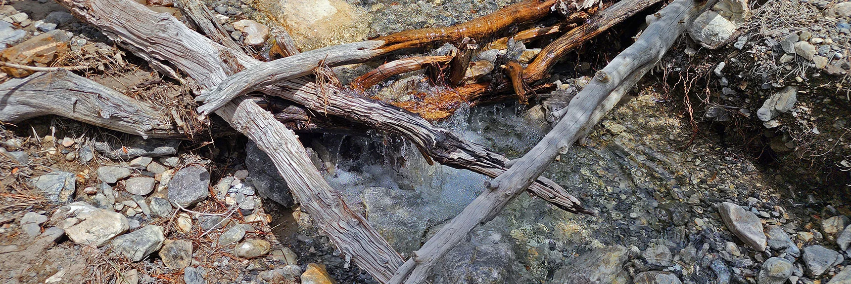 Each Waterfall is Entirely Unique | Fletcher Canyon Trail | Mt Charleston Wilderness | Spring Mountains, Nevada