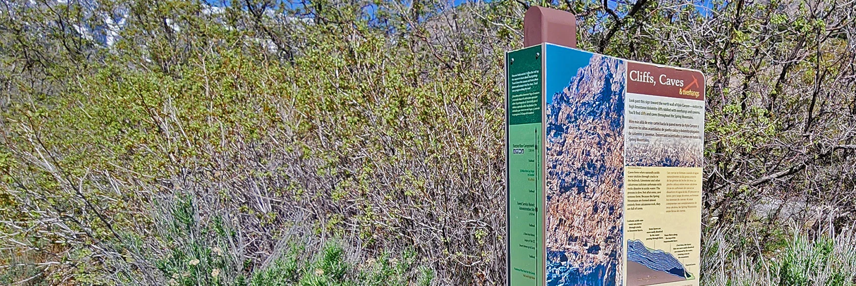 How Limestone Cliffs and Caves Were Formed | Acastus Trail | Mt Charleston Wilderness | Spring Mountains, Nevada