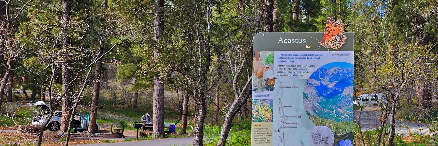 Acastus Trail Sign at Kyle Canyon Picnic Area Where Trail Navigates a Few of Roads | Acastus Trail | Mt Charleston Wilderness | Spring Mountains, Nevada
