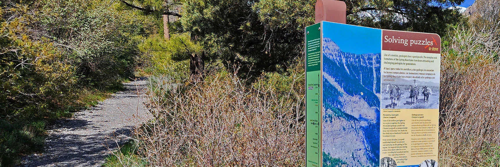Story of Early Geologist Explorers Who Navigated the Pathless Spring Mountains on Horseback | Acastus Trail | Mt Charleston Wilderness | Spring Mountains, Nevada