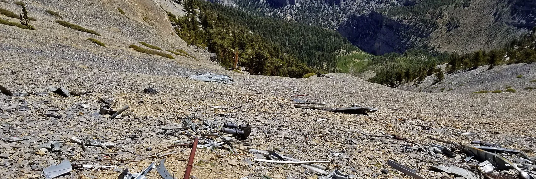 View Down to Plane Wing and on Toward Kyle Canyon Base | Escarpment Trail | Mt Charleston Wilderness | Spring Mountains, Nevada