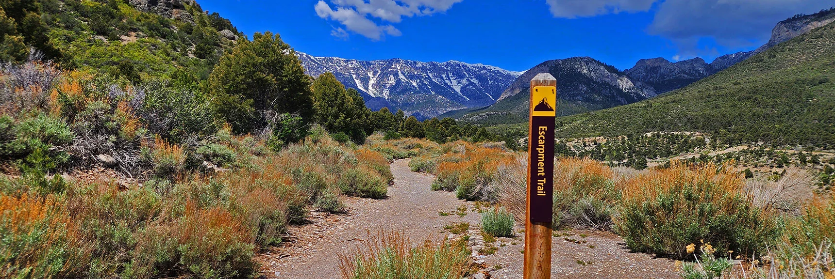 Entering The Escarpment Trail | Escarpment Trail | Mt Charleston Wilderness | Spring Mountains, Nevada