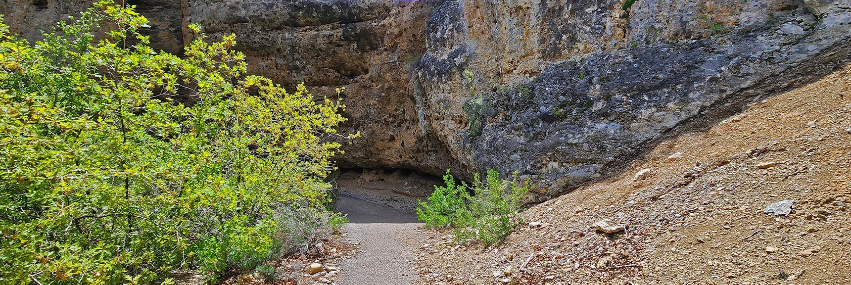 Many Cave Formations Along Cliff Base | Escarpment Trail | Mt Charleston Wilderness | Spring Mountains, Nevada