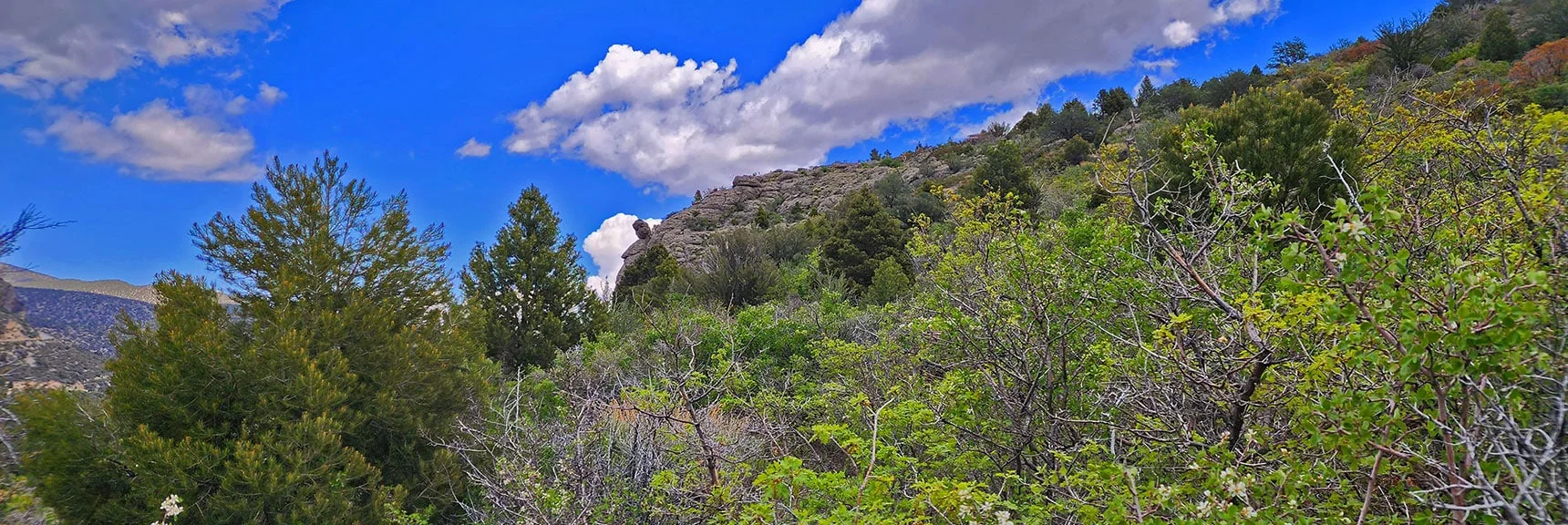 Have Looped Around Escarpment West End, Now Descending | Escarpment Trail | Mt Charleston Wilderness | Spring Mountains, Nevada