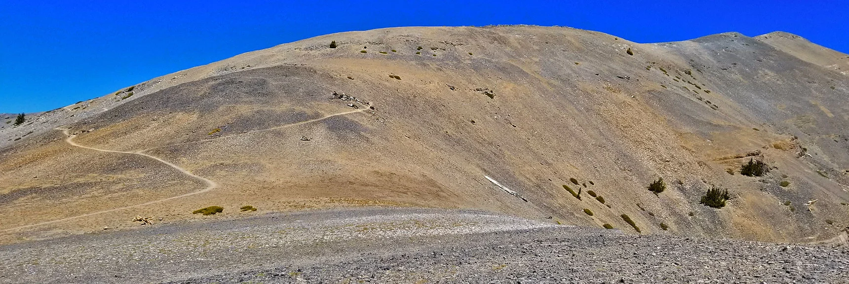 If You Had a Powerful Telescope, and This Were Summer, Here's What You Would See | Escarpment Trail | Mt Charleston Wilderness | Spring Mountains, Nevada