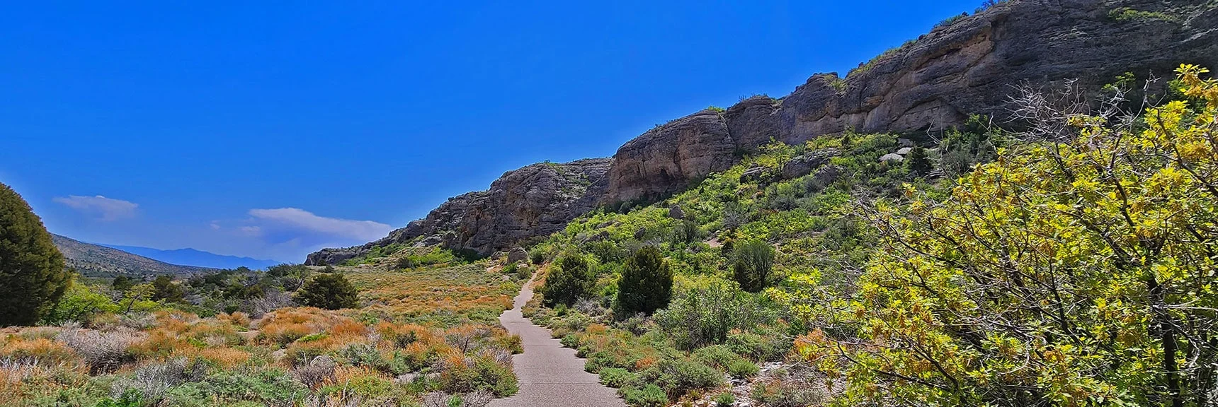 Lower Loop Skirts Base of Escarpment Cliffs | Escarpment Trail | Mt Charleston Wilderness | Spring Mountains, Nevada