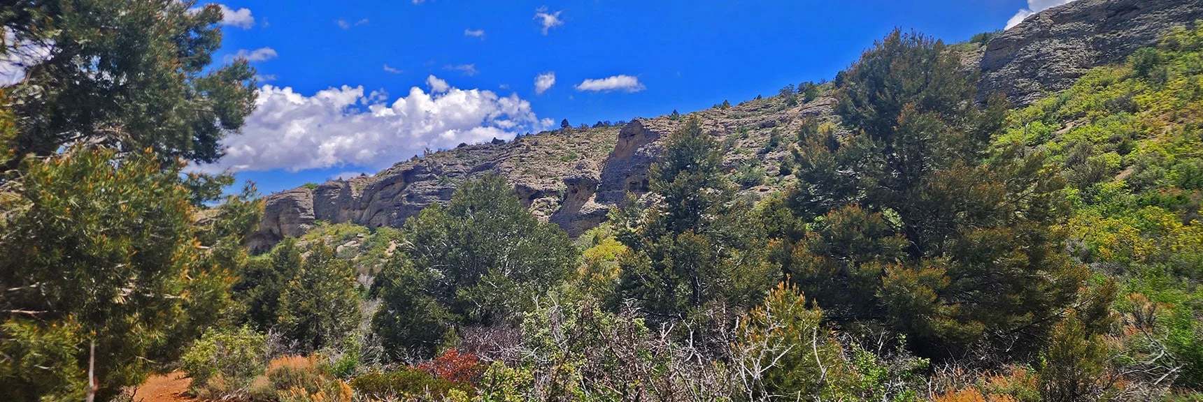 Looking Back Across The Escarpment from West End | Escarpment Trail | Mt Charleston Wilderness | Spring Mountains, Nevada