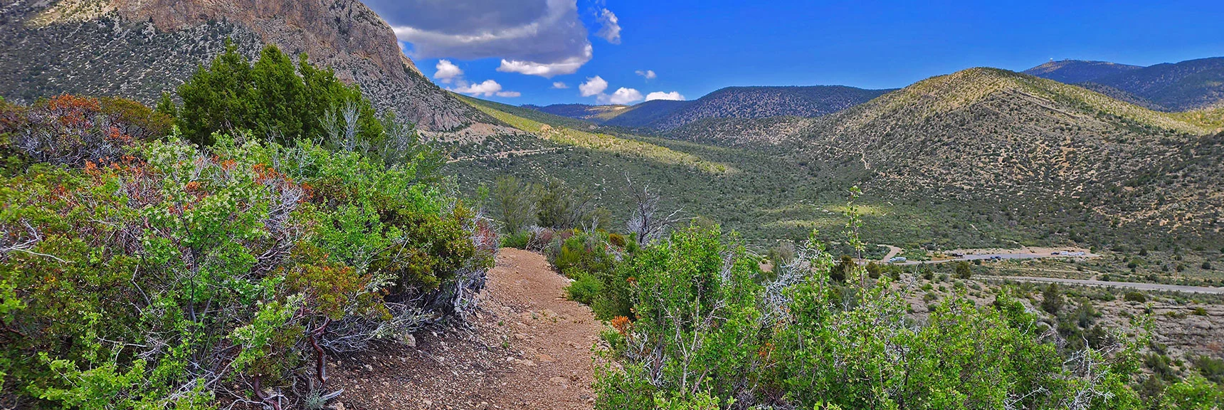 Another View Back (Forward Views Are Dark, Cloudy, Thunder to Be Heard) | Escarpment Trail | Mt Charleston Wilderness | Spring Mountains, Nevada