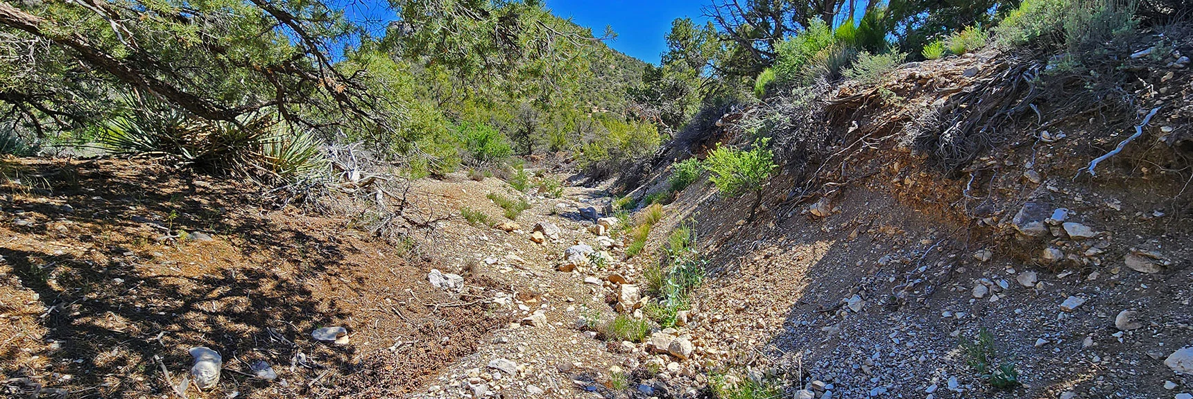 Washes Begin to Widen Lower Down. Endless Twists and Turns, Low Visibility | Mt Wilson to Hidden Peak | Upper Crest Ridgeline | Rainbow Mountain Wilderness, Nevada