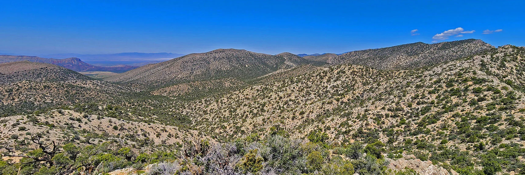 Approach Canyon and Earlier Ridgeline Approach Ridge North of Today's Approach Ridge | Mt Wilson to Hidden Peak | Upper Crest Ridgeline | Rainbow Mountain Wilderness, Nevada