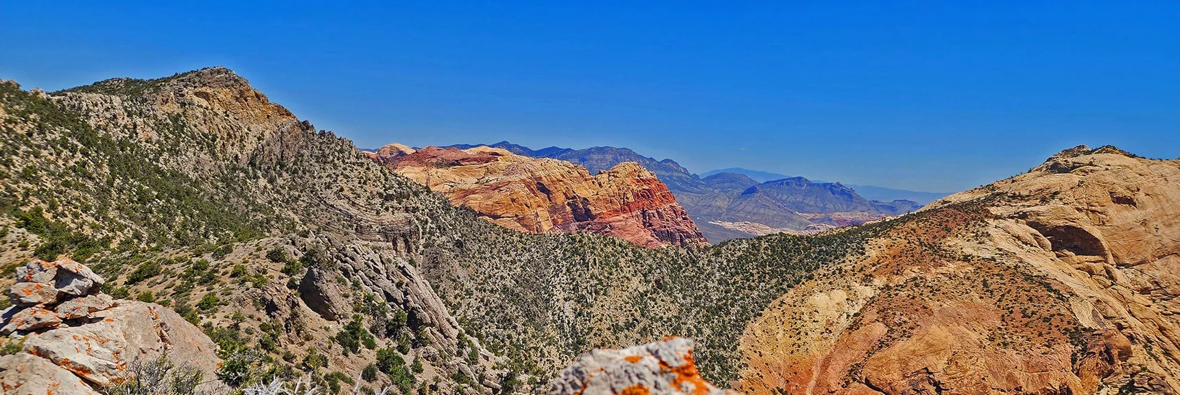 Saddle Between Ridgeline and Mt Wilson. Rainbow Mt. Background | Mt Wilson to Hidden Peak | Upper Crest Ridgeline | Rainbow Mountain Wilderness, Nevada