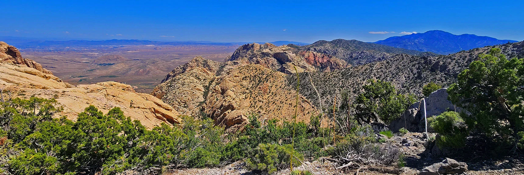 Canyon Between Indecision Peak and Hidden Peak | Mt Wilson to Hidden Peak | Upper Crest Ridgeline | Rainbow Mountain Wilderness, Nevada