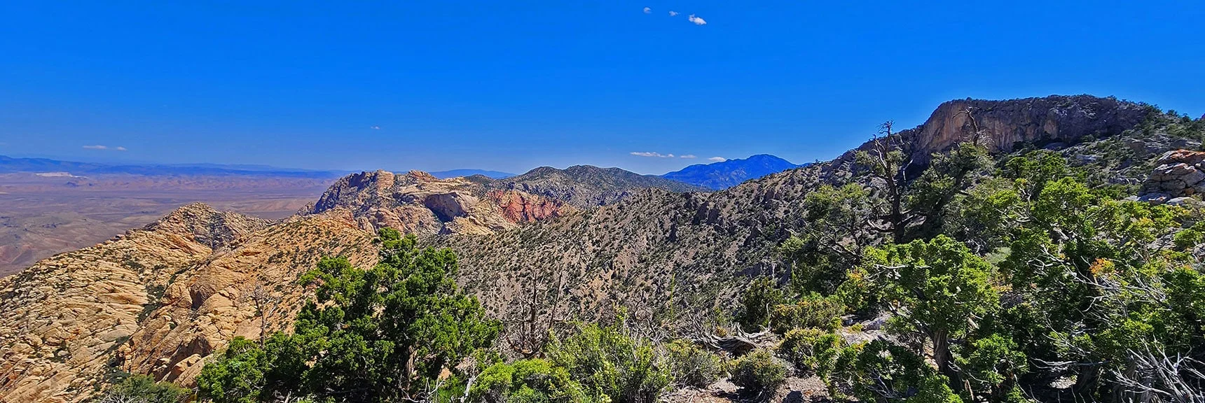 Ridgeline South Approaching Next High Point Beyond Indecision Peak | Mt Wilson to Hidden Peak | Upper Crest Ridgeline | Rainbow Mountain Wilderness, Nevada