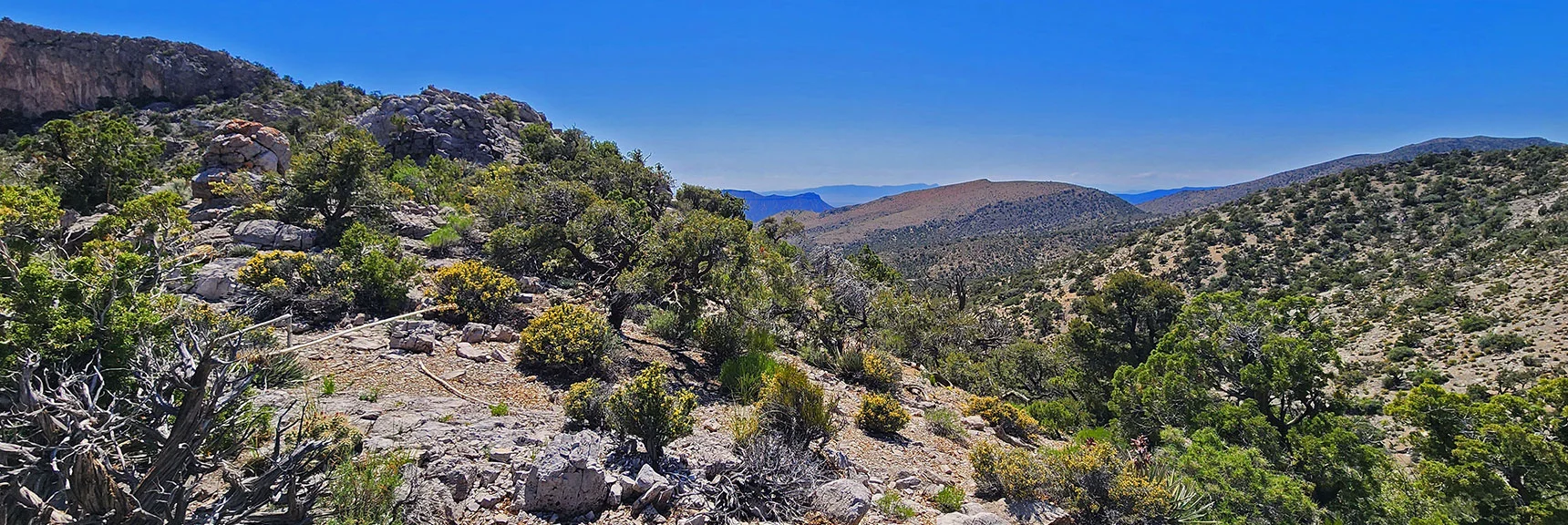 Heading Down into Descent Canyon Just North of Next Ridgeline High Point | Mt Wilson to Hidden Peak | Upper Crest Ridgeline | Rainbow Mountain Wilderness, Nevada
