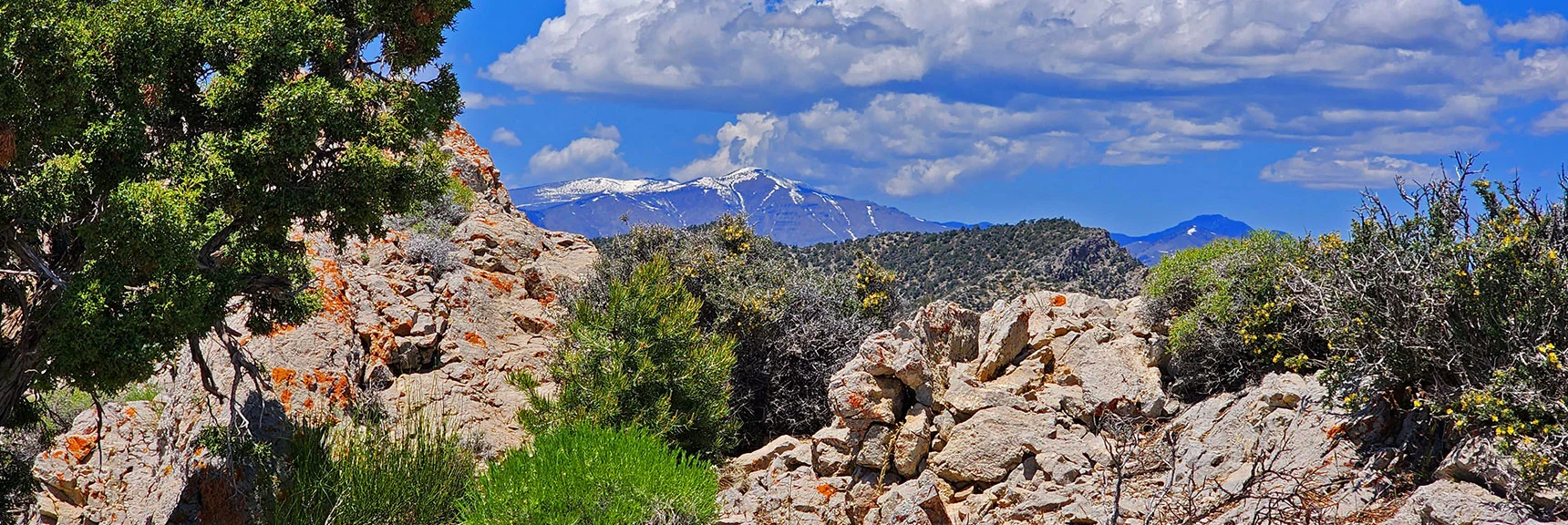Charleston Wilderness View After Rounding Indecision Peak Ridgeline High Point | Mt Wilson to Hidden Peak | Upper Crest Ridgeline | Rainbow Mountain Wilderness, Nevada