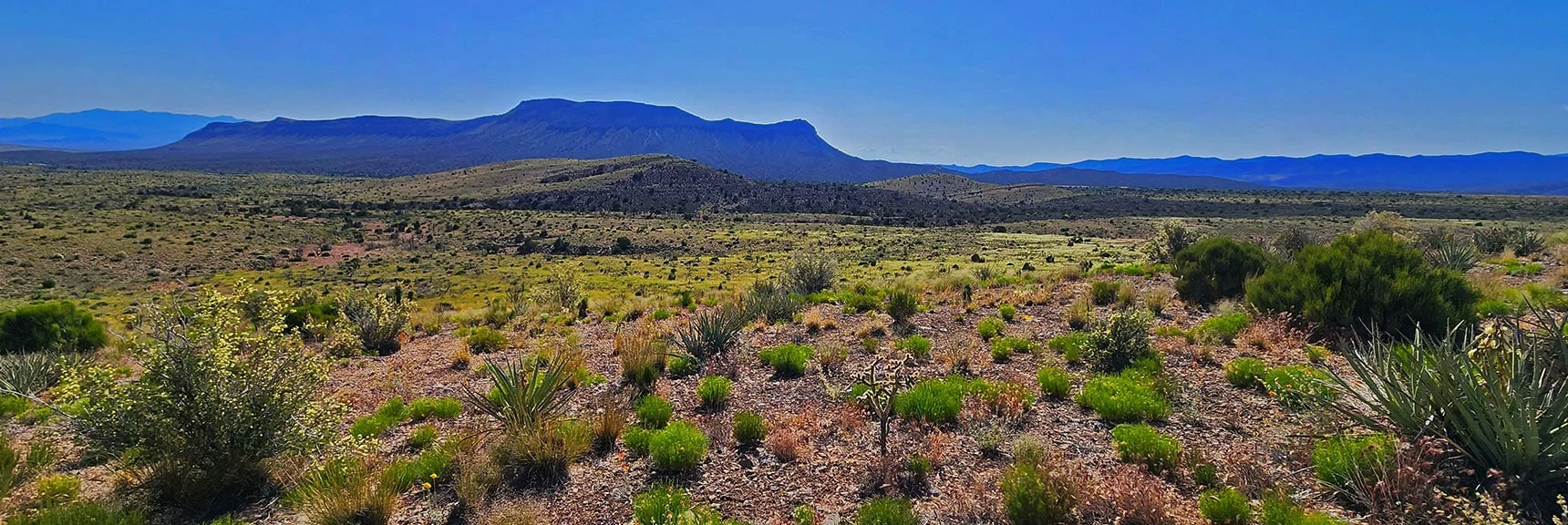 Wash Empties Out into Lovell Canyon. Start Point Landmark Bluff Ahead | Mt Wilson to Hidden Peak | Upper Crest Ridgeline | Rainbow Mountain Wilderness, Nevada