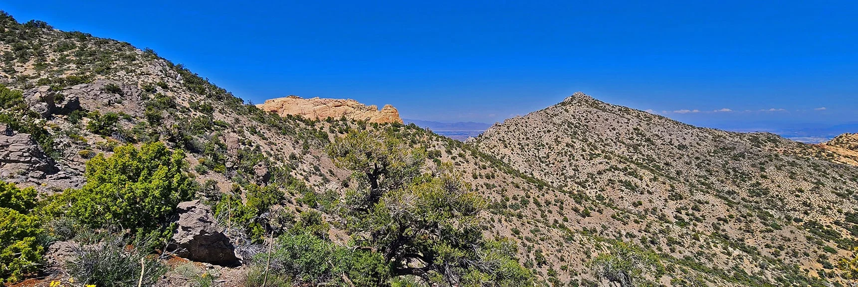 Indecision Peak Saddle Approach Ridge | Mt Wilson to Hidden Peak | Upper Crest Ridgeline | Rainbow Mountain Wilderness, Nevada