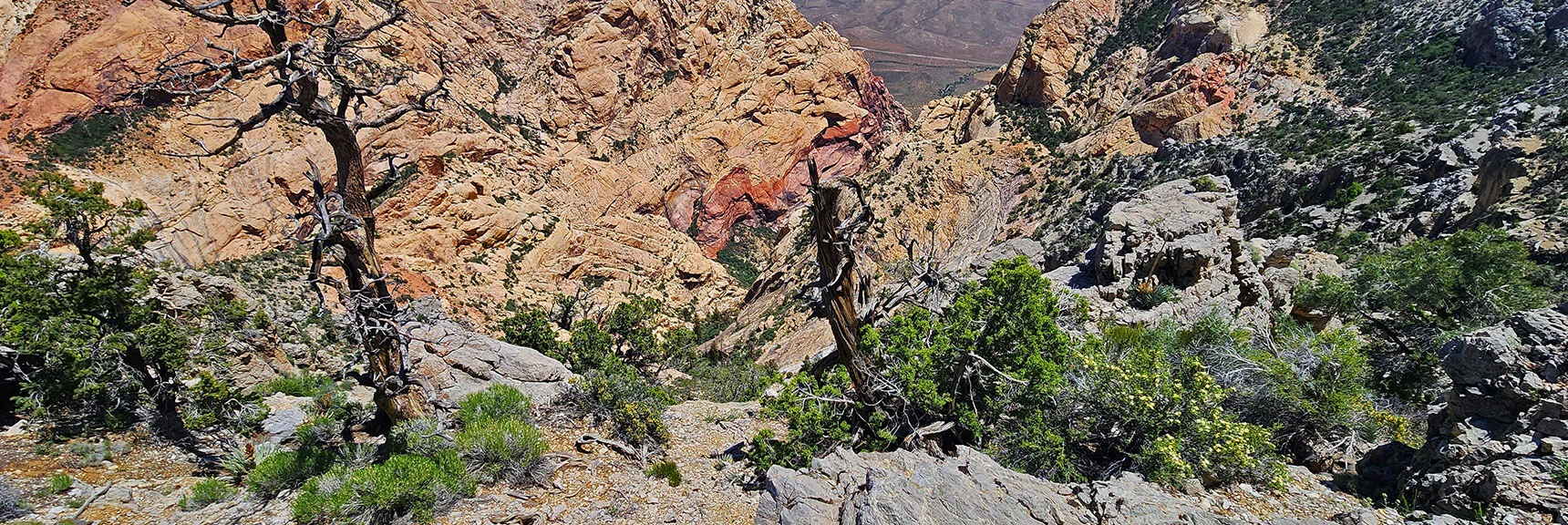 Another Perspective Down into First Creek Canyon | Mt Wilson to Hidden Peak | Upper Crest Ridgeline | Rainbow Mountain Wilderness, Nevada
