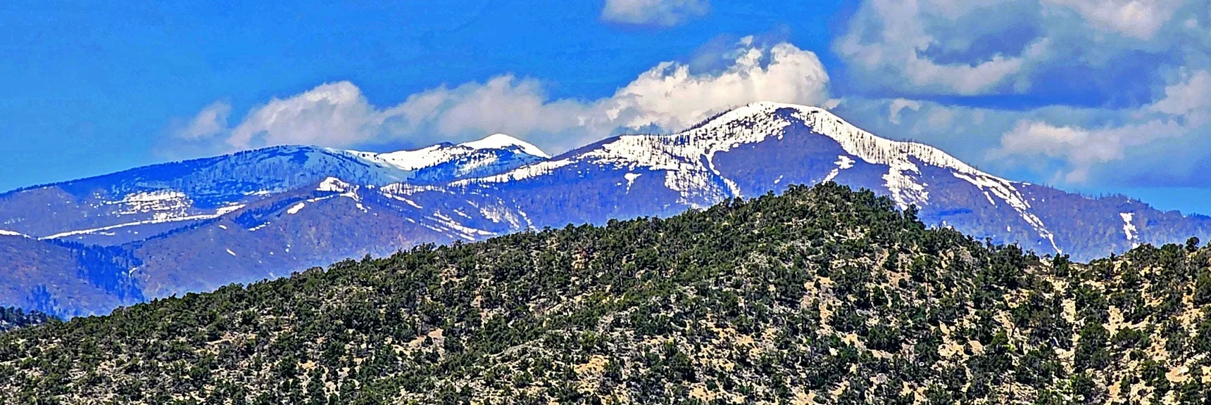 Mt. Charleston Wilderness (Griffith & Charleston Peaks) from High Point Above Indecision Peak | Mt Wilson to Hidden Peak | Upper Crest Ridgeline | Rainbow Mountain Wilderness, Nevada