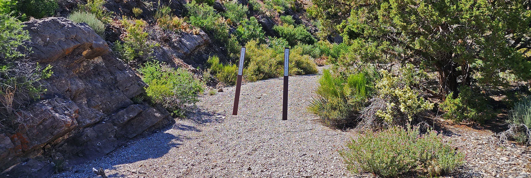 Nearing Descent Canyon Wash Exit, Wash By Now is Wide, Well Traveled | Mt Wilson to Hidden Peak | Upper Crest Ridgeline | Rainbow Mountain Wilderness, Nevada