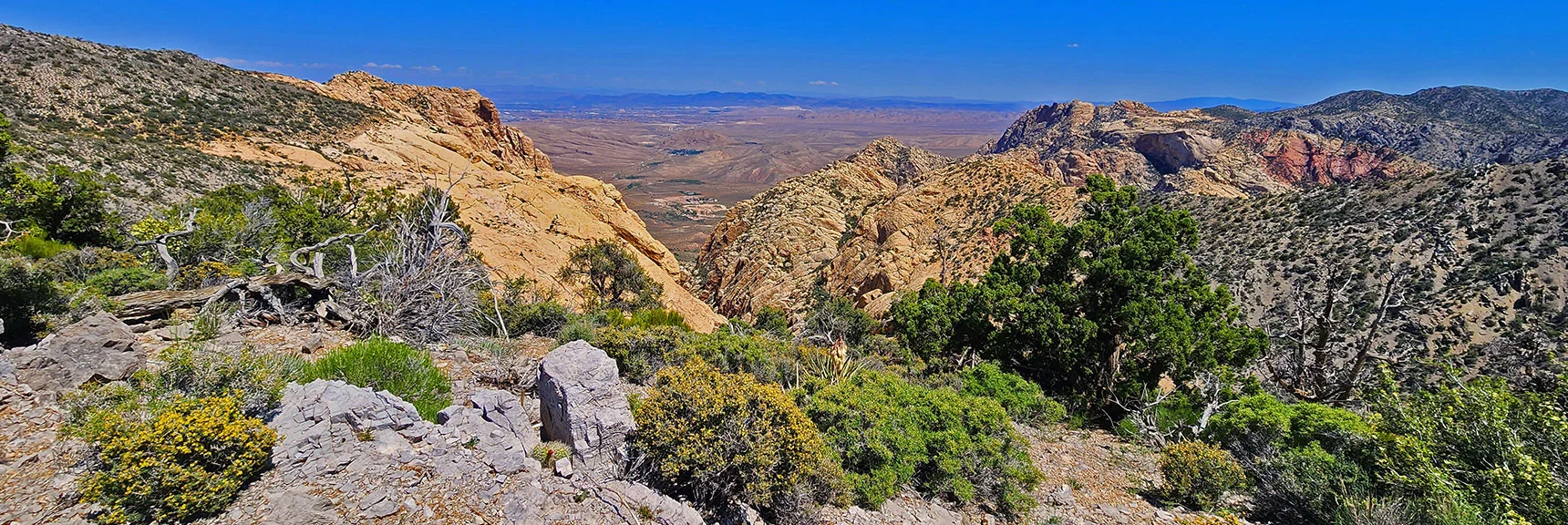 Canyon Between Indecision Peak and Hidden Peak | Mt Wilson to Hidden Peak | Upper Crest Ridgeline | Rainbow Mountain Wilderness, Nevada