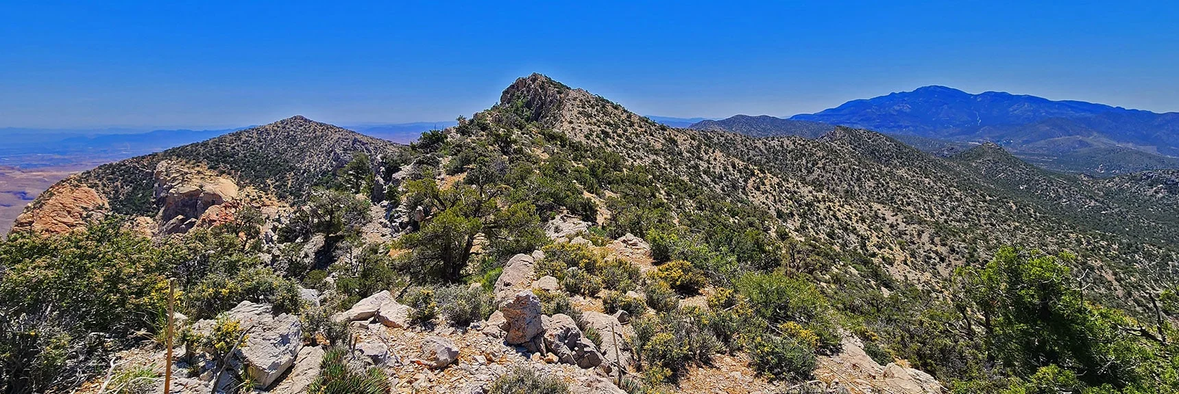 Ridgeline Heading South Toward Indecision Peak | Mt Wilson to Hidden Peak | Upper Crest Ridgeline | Rainbow Mountain Wilderness, Nevada